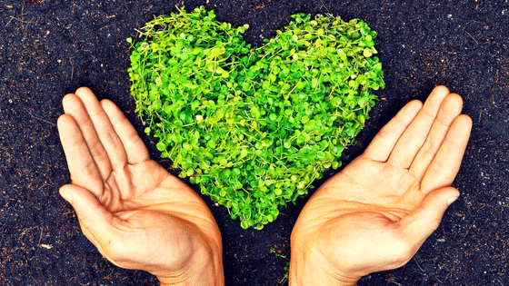 sustainability