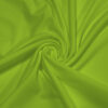 Arctic Lime