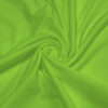 Green Lizard