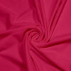 Raspberry Fill