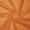 Cantaloupe