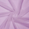 Lupine