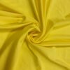 Canary