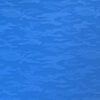 Blue / Royal Blue